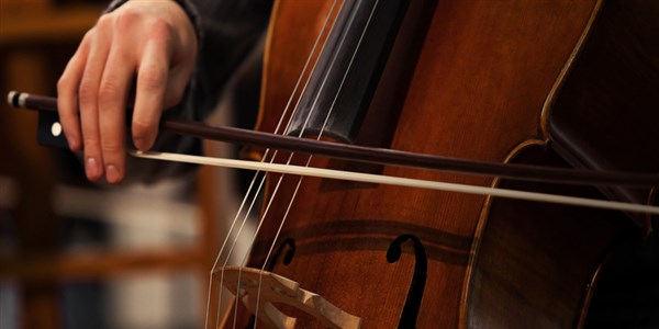 violoncello